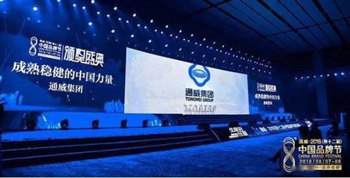 十年回首，中国光伏品牌的全球领导力之路